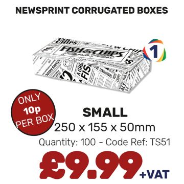 NEWSPRINT CORR SMALL BOXES 100 250x155x50